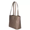 Terra 1755 bronz