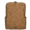 66736 camel